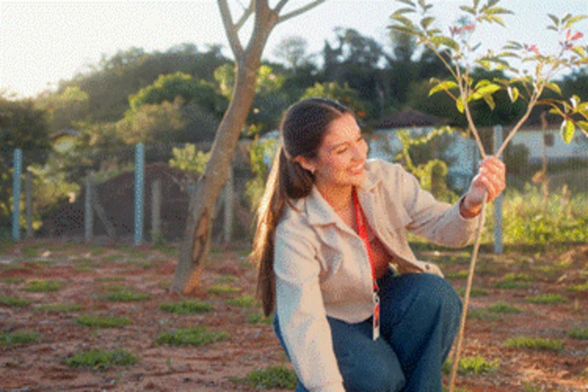 Madesa amplia uso de energia renovável e avança em metas de sustentabilidade